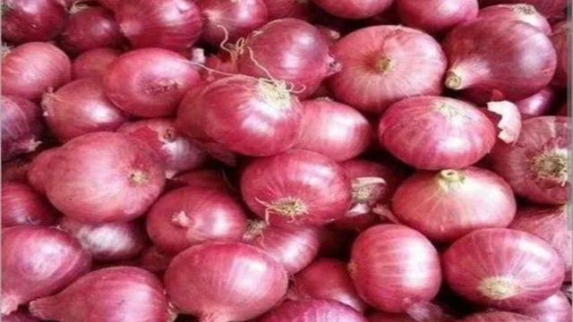 202 Tonnes of Indian Onions Enter Bangladesh via Bhomra Port